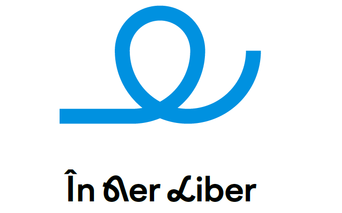 logo platforma in aer